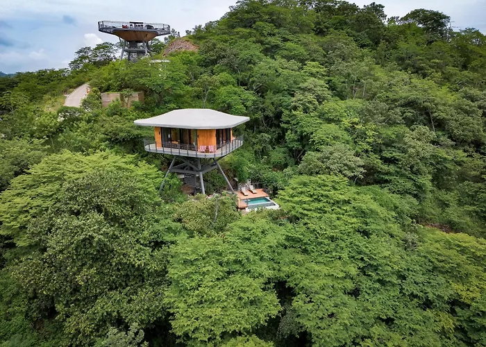 Suitree Experience Hotel